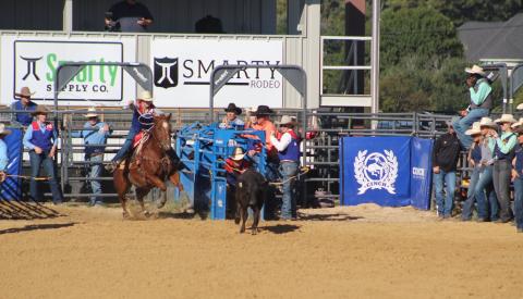 Cowboys on Horses in Rodeo Arena